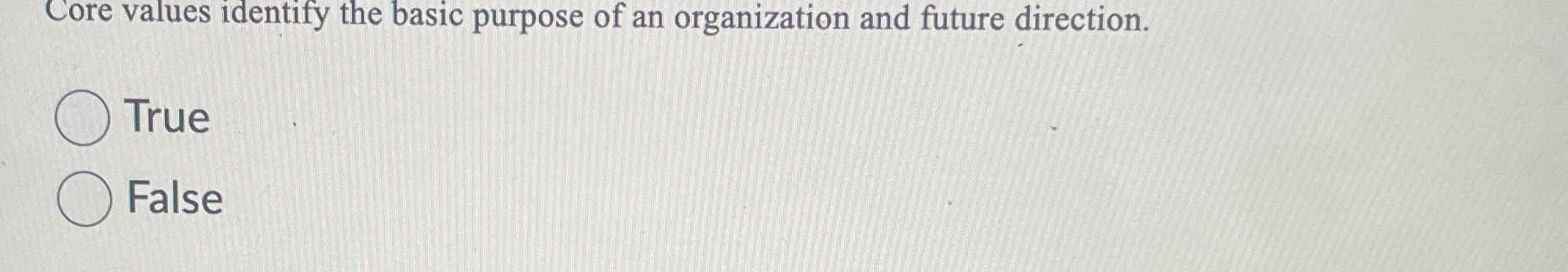  Core values identify the basic purpose of an organization and future