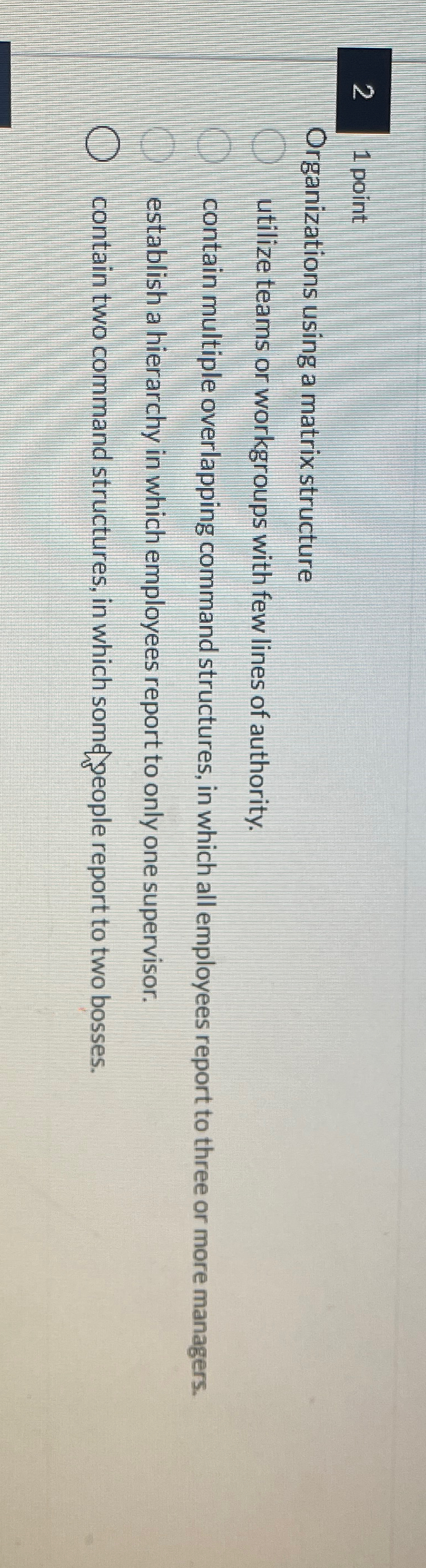  21 point Organizations using a matrix structure utilize teams or workgroups