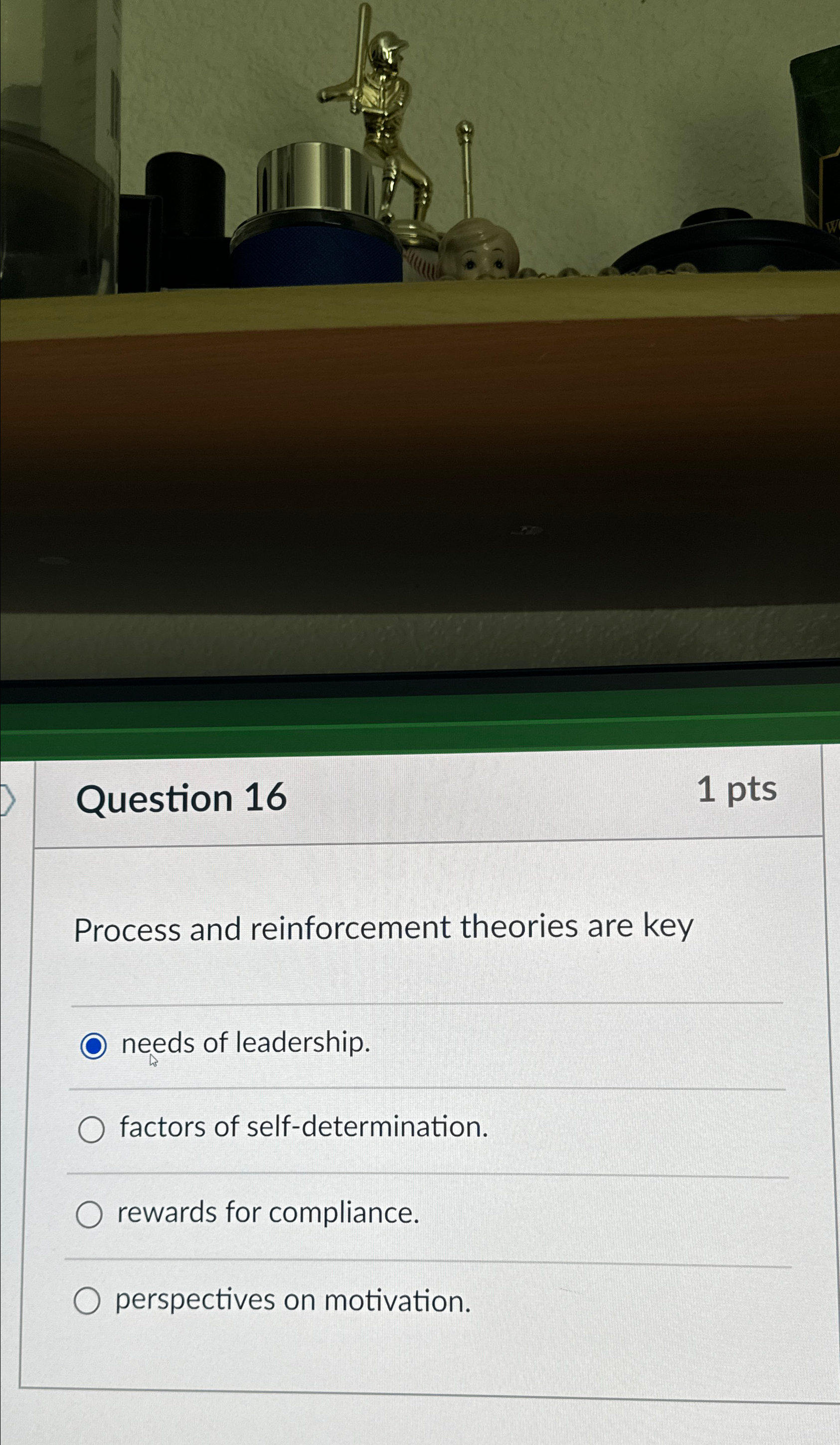  Question 16 1pts Process and reinforcement theories are key needs of