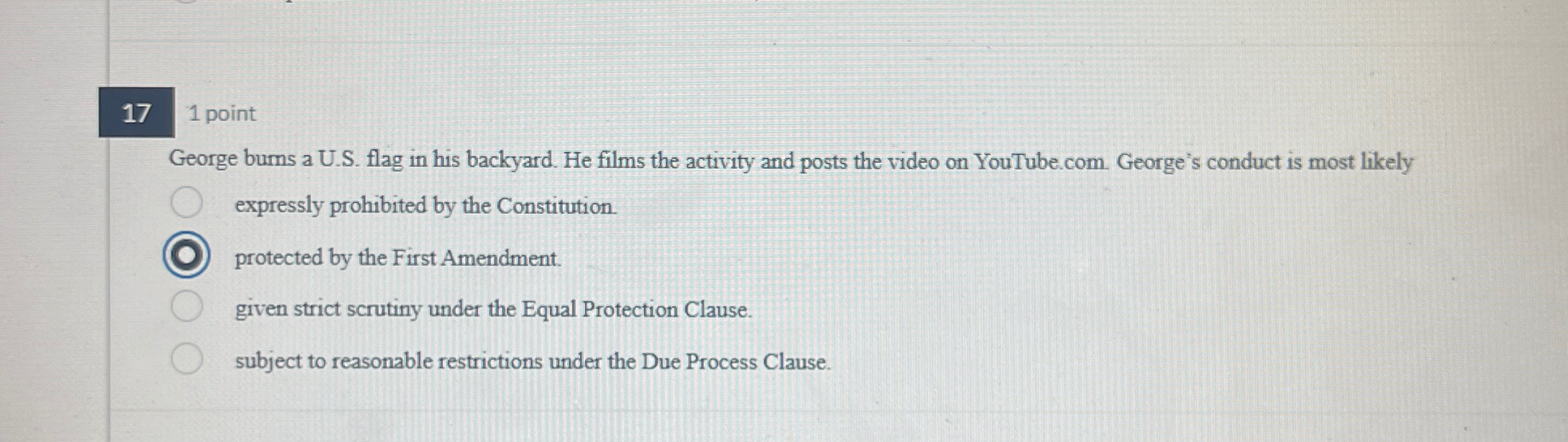  17 1 point George bums a U.S. flag in his backyard.