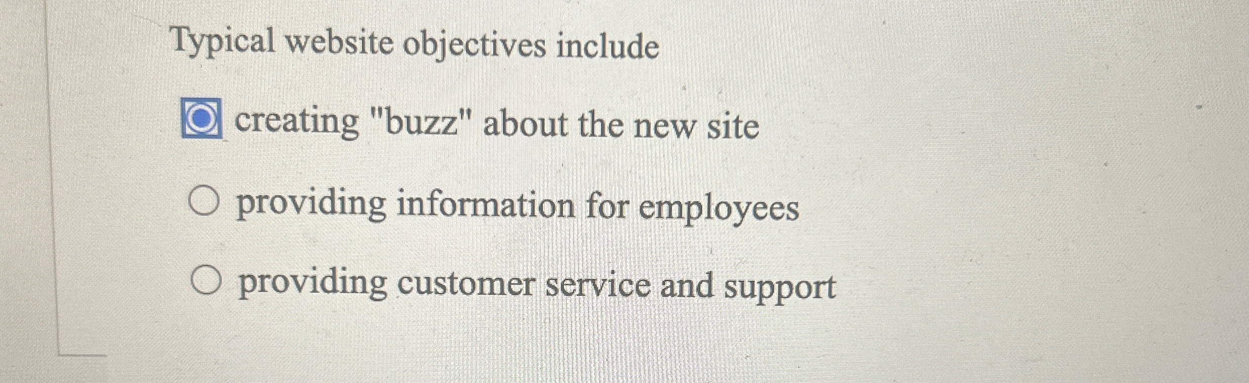  Typical website objectives include creating "buzz" about the new site providing