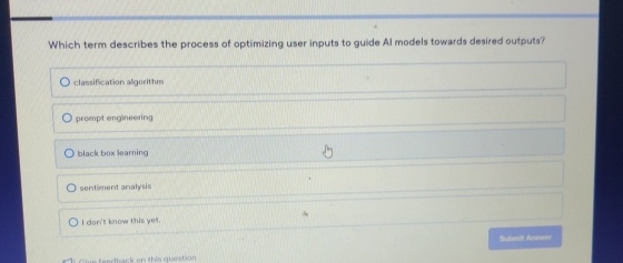  Which term describes the process of optimizing user inputs to guide
