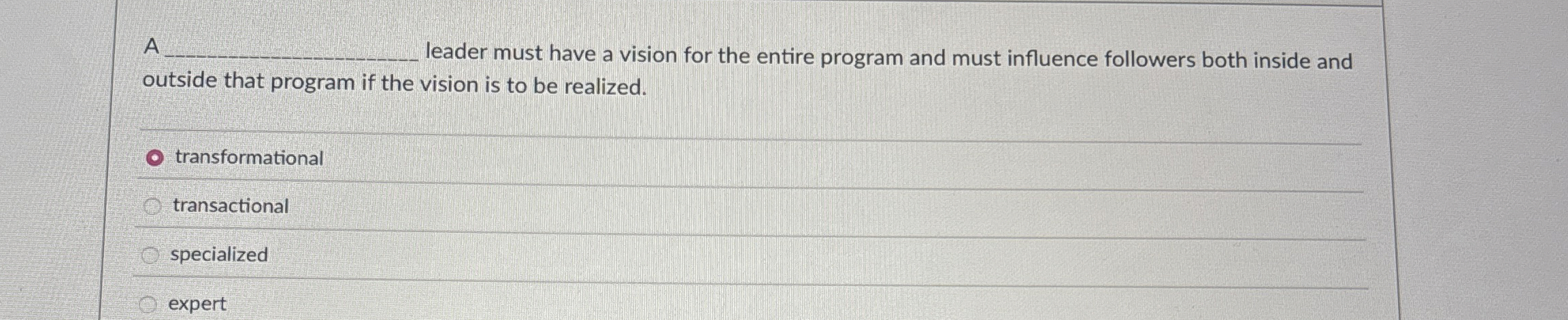  A leader must have a vision for the entire program and
