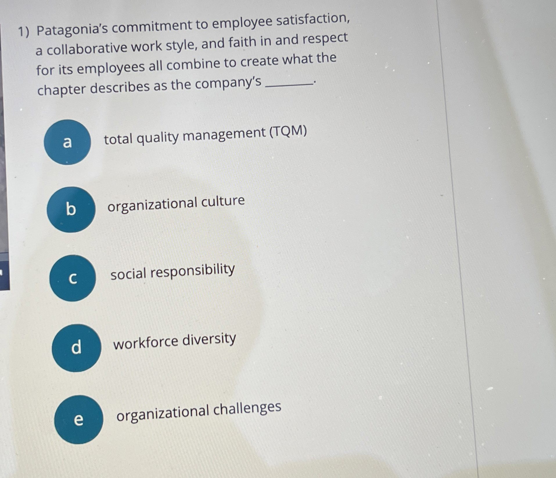  Patagonia's commitment to employee satisfaction, a collaborative work style, and faith