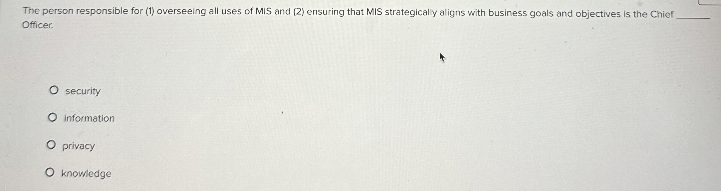  The person responsible for (1) overseeing all uses of MIS and