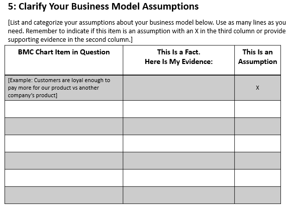  5: Clarify Your Business Model Assumptions [List and categorize your assumptions