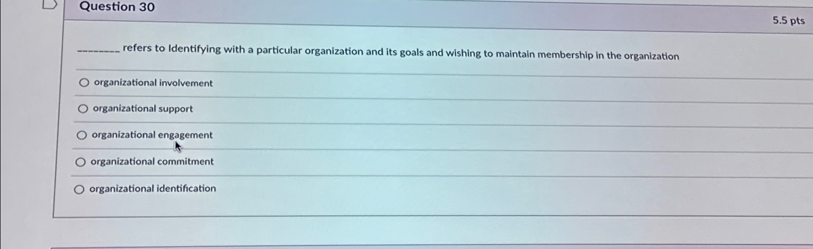  Question 30 refers to Identifying with a particular organization and its