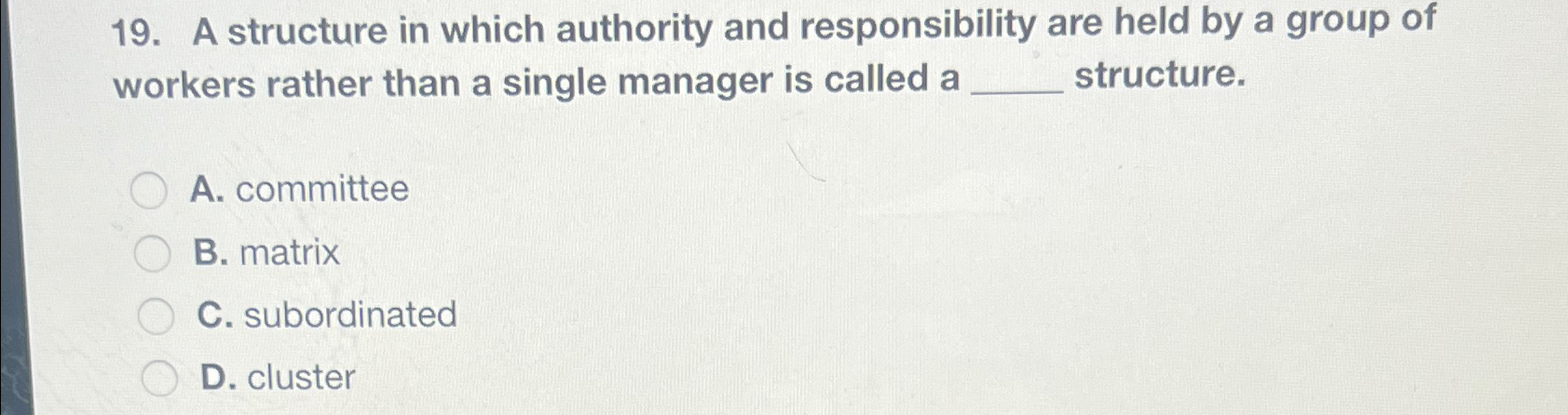  A structure in which authority and responsibility are held by a