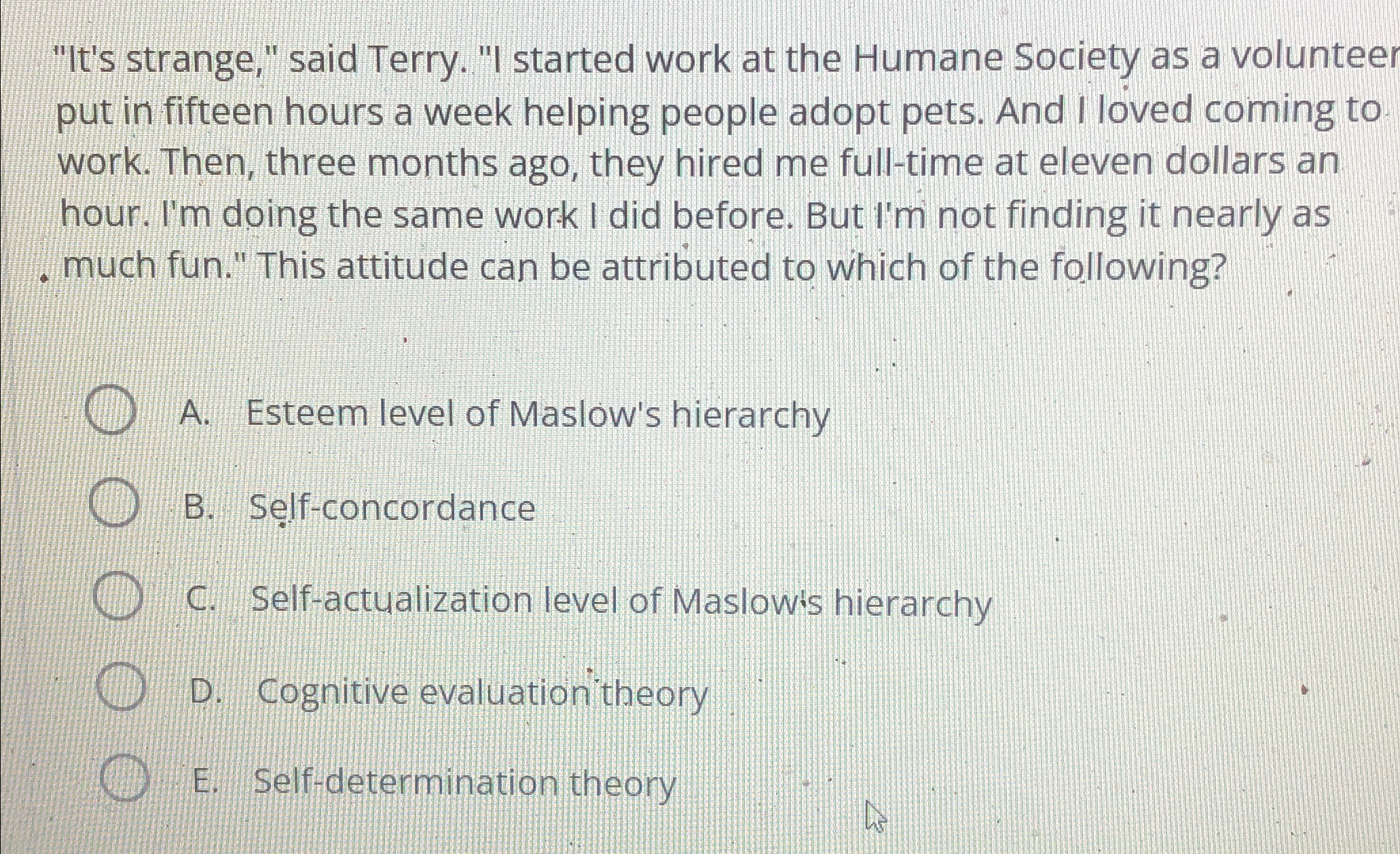  "It's strange," said Terry. "I started work at the Humane Society