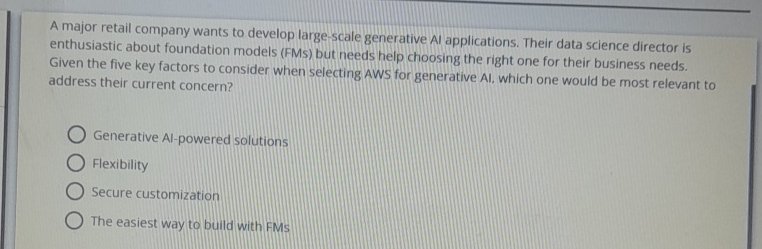  A major retail company wants to develop large-scale generative Al applications.