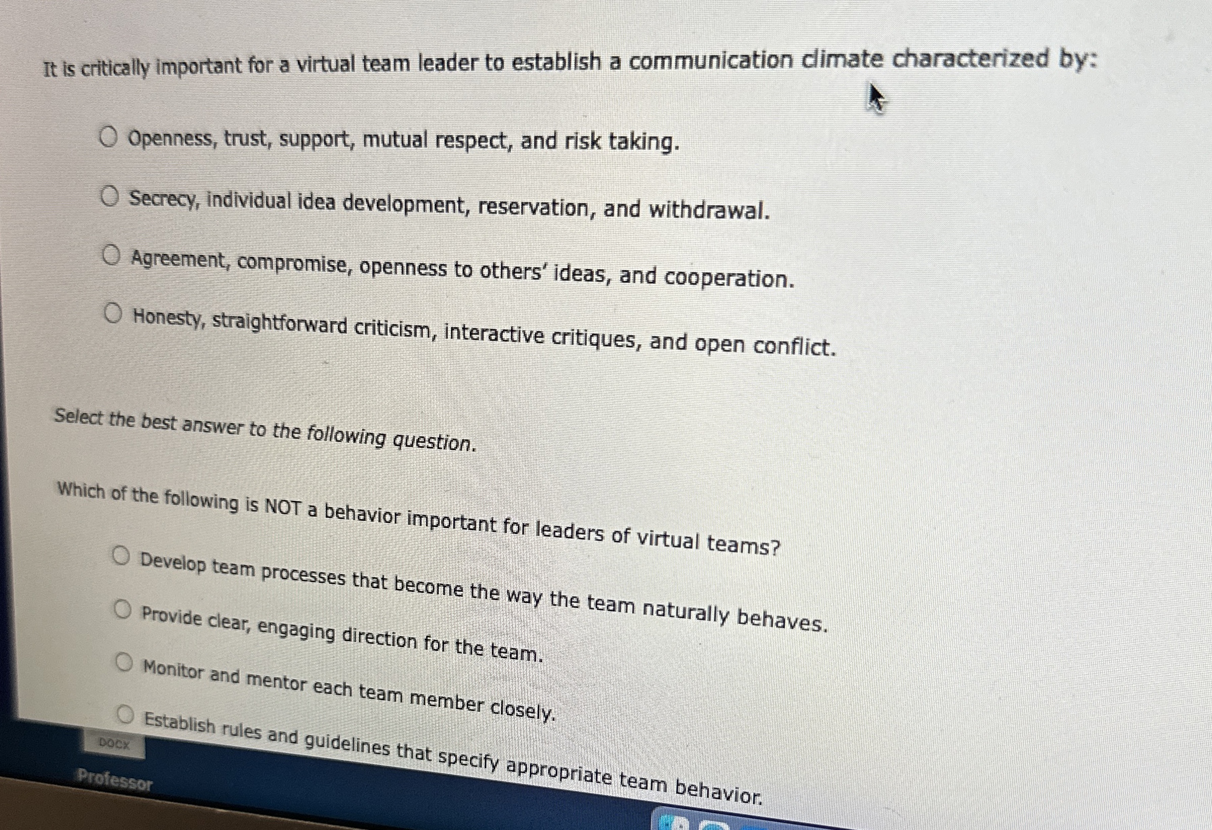  It is critically important for a virtual team leader to establish