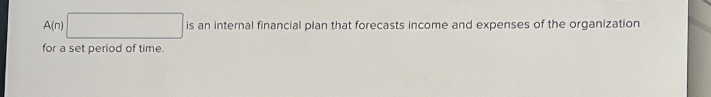  A(n) is an internal financial plan that forecasts income and expenses