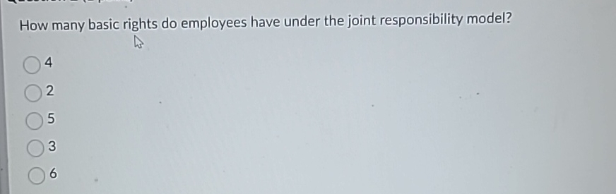  How many basic rights do employees have under the joint responsibility