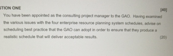  TION ONE [40] You have been appointed as the consulting project