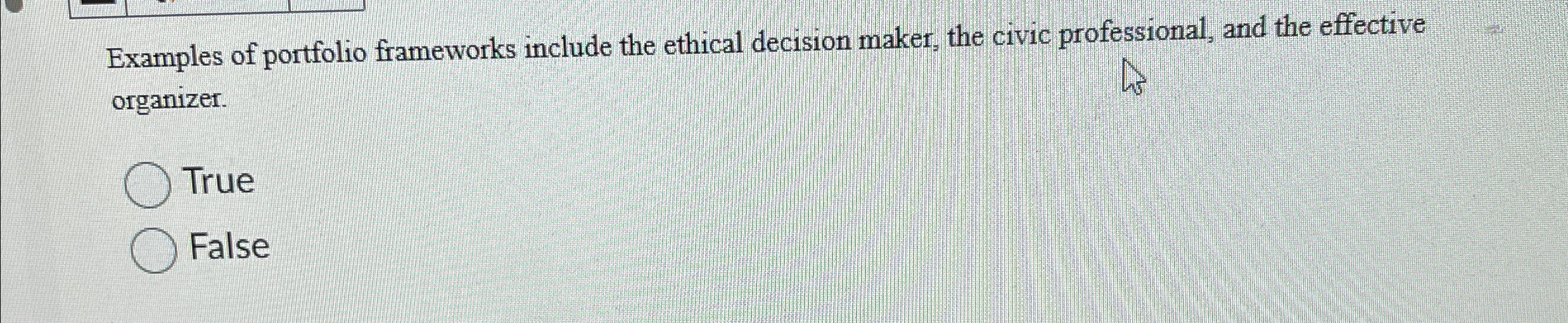  Examples of portfolio frameworks include the ethical decision maker, the civic