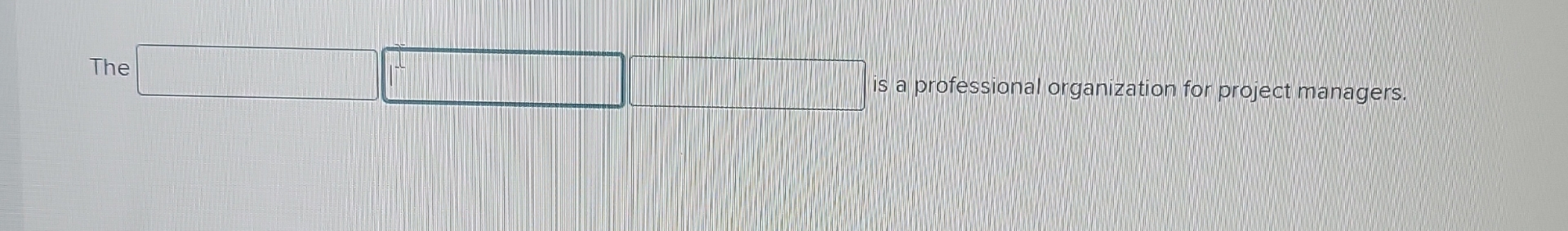  The is a professional organization for project managers. 