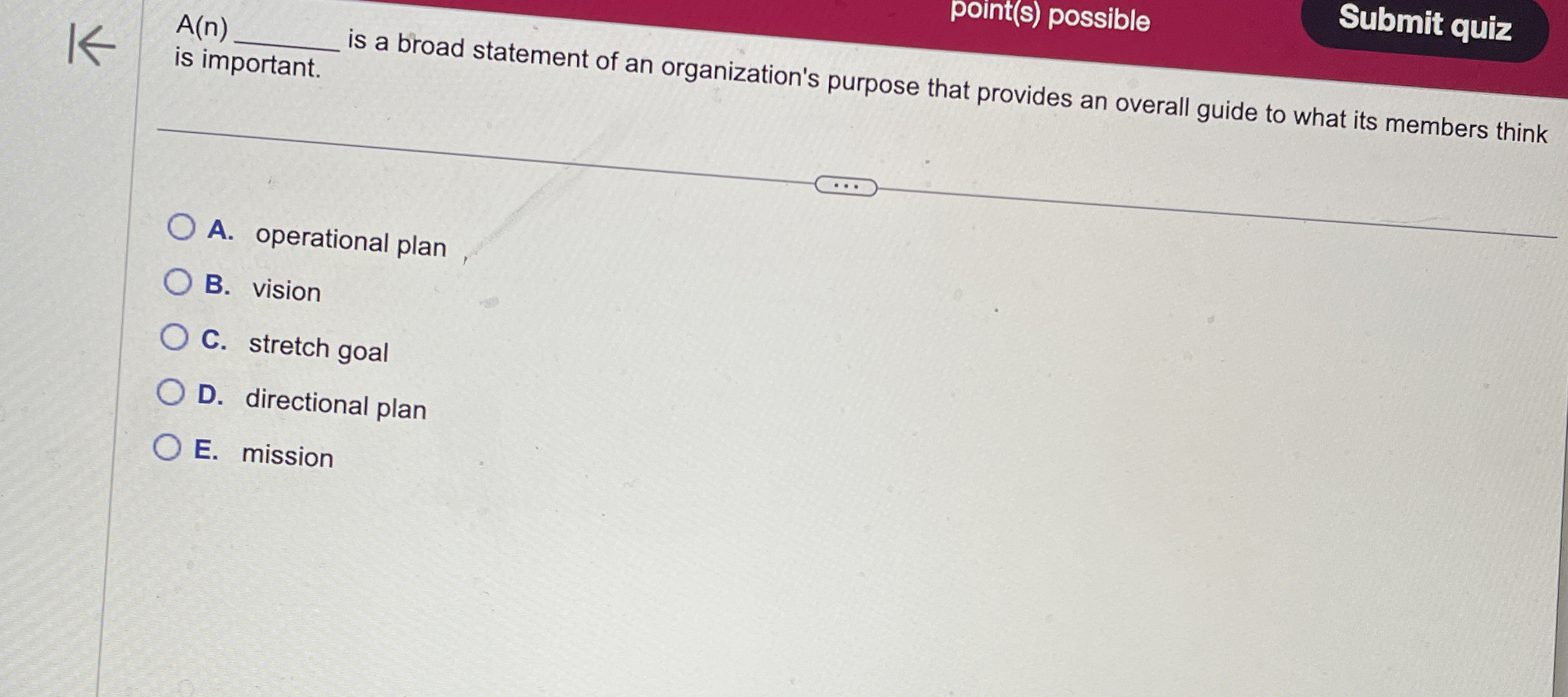  A(n) is important. is a broad statement of an organization's purpose