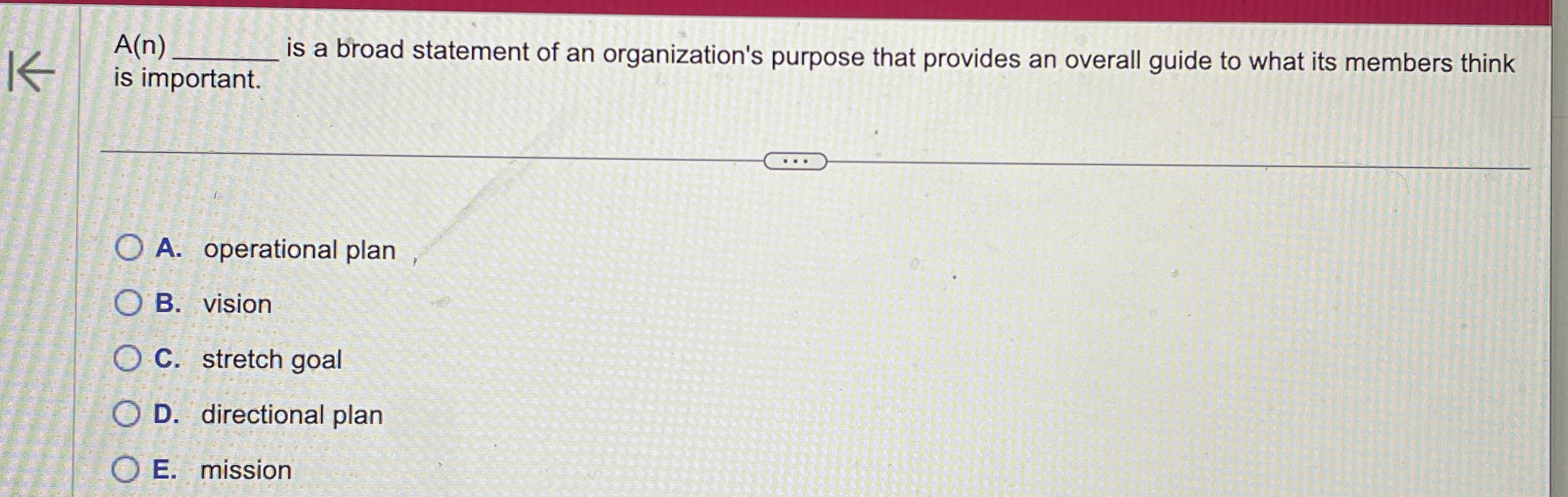  A(n) is a broad statement of an organization's purpose that provides