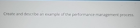  Create and describe an example of the performance management process. 