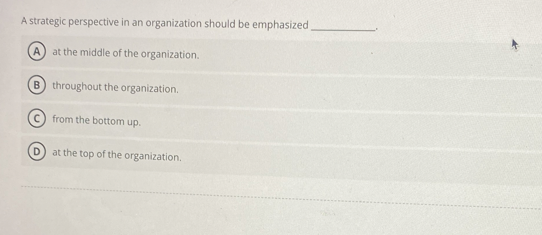  A strategic perspective in an organization should be emphasized at the