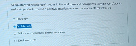  Adequately representing all groups in the workforce and managing this diverse