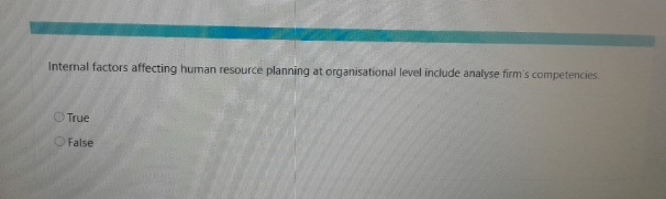  Internal factors affecting human resource planning at organisational level include analyse
