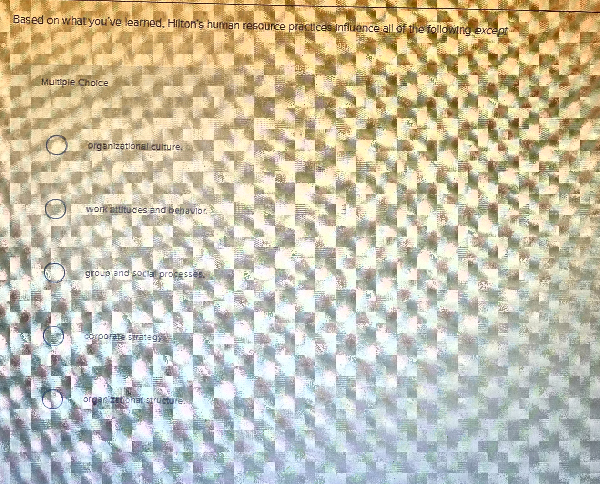  Based on what you've learned, Hilton's human resource practices influence all