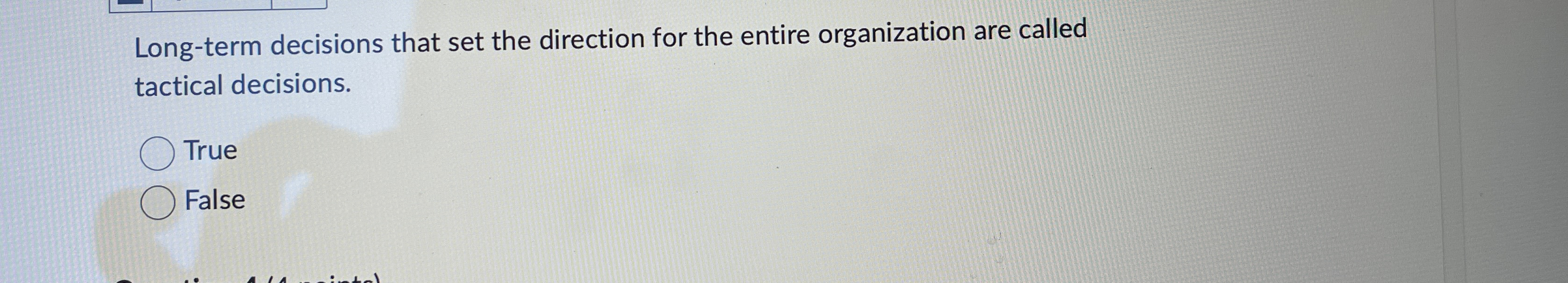  Long-term decisions that set the direction for the entire organization are