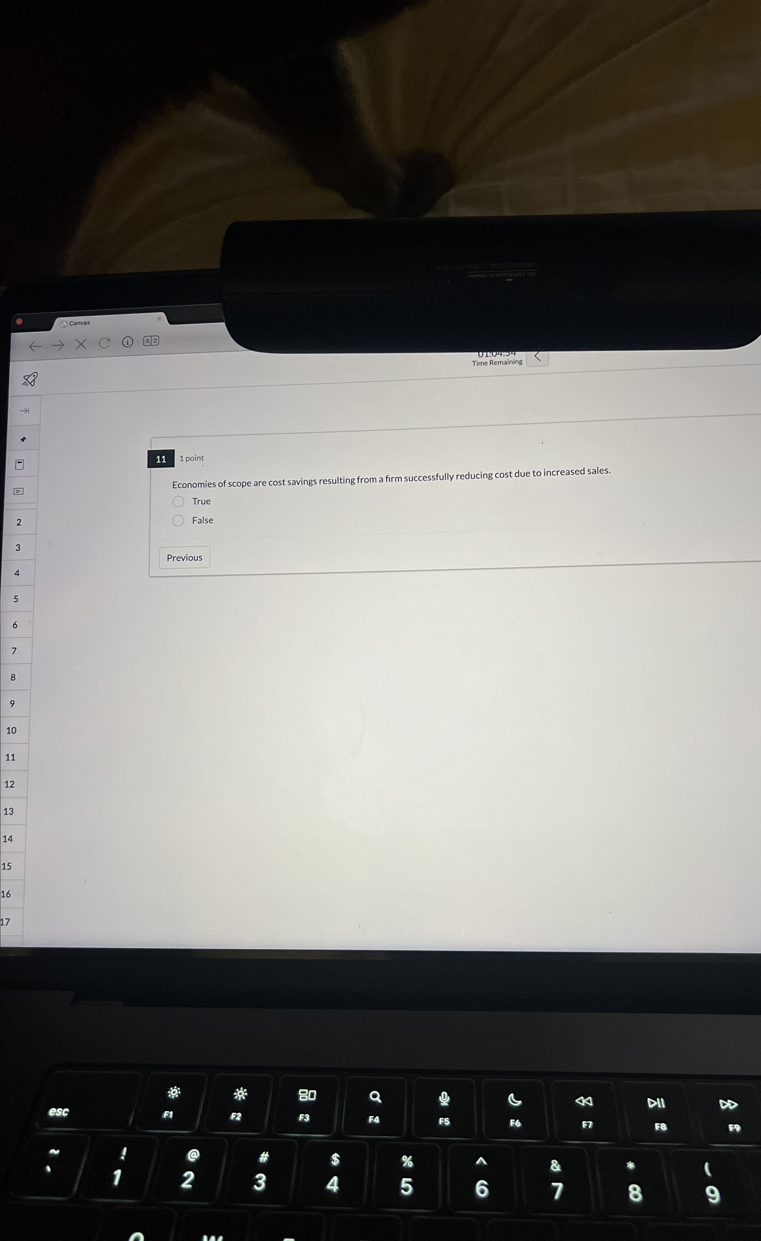  (4) Canvas 01:04:04 Time Remainin 1 point Economies of scope are