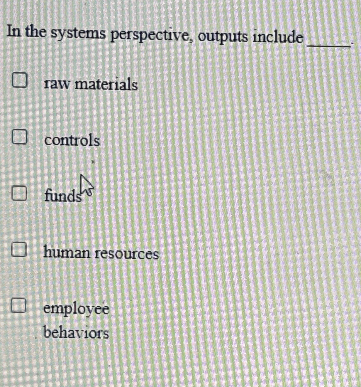  In the systems perspective, outputs include raw materials controls funds human