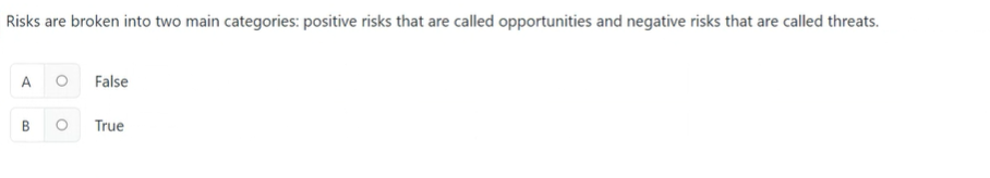  Risks are broken into two main categories: positive risks that are