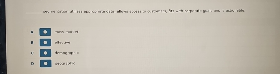  segmentation utilizes appropriate data, allows access to customers, fits with corporate