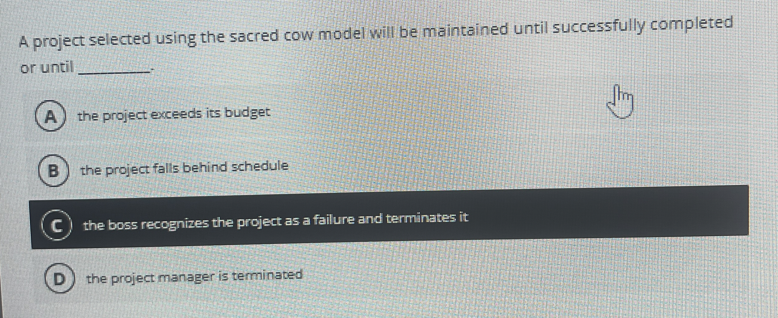  A project selected using the sacred cow model will be maintained