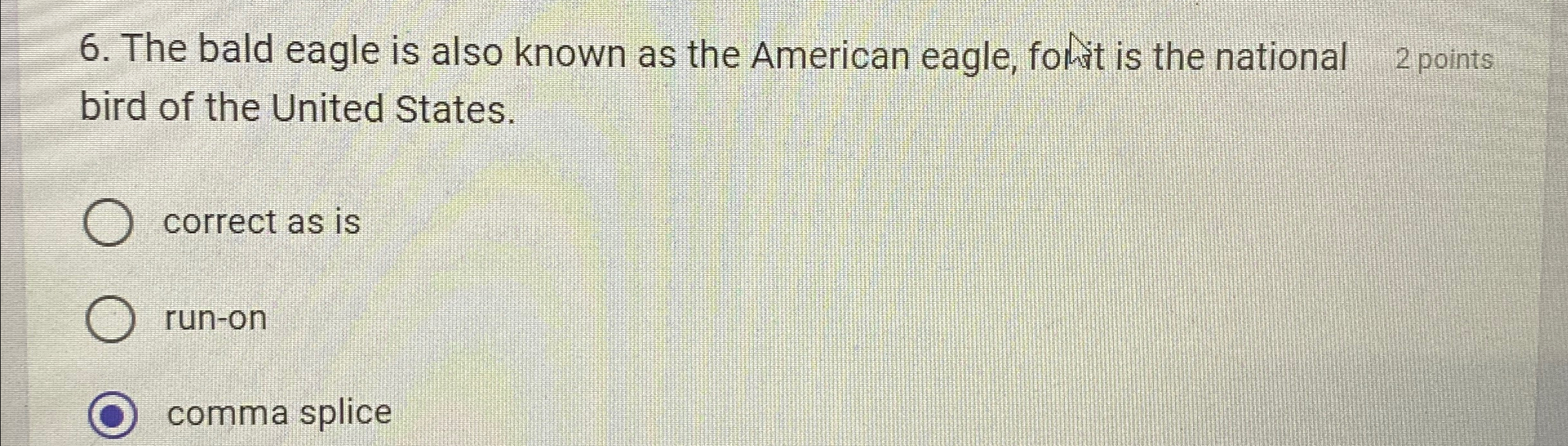  The bald eagle is also known as the American eagle, folatit