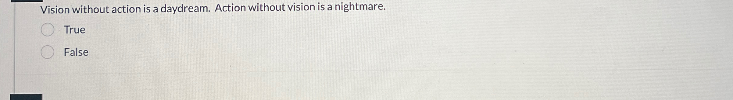  Vision without action is a daydream. Action without vision is a
