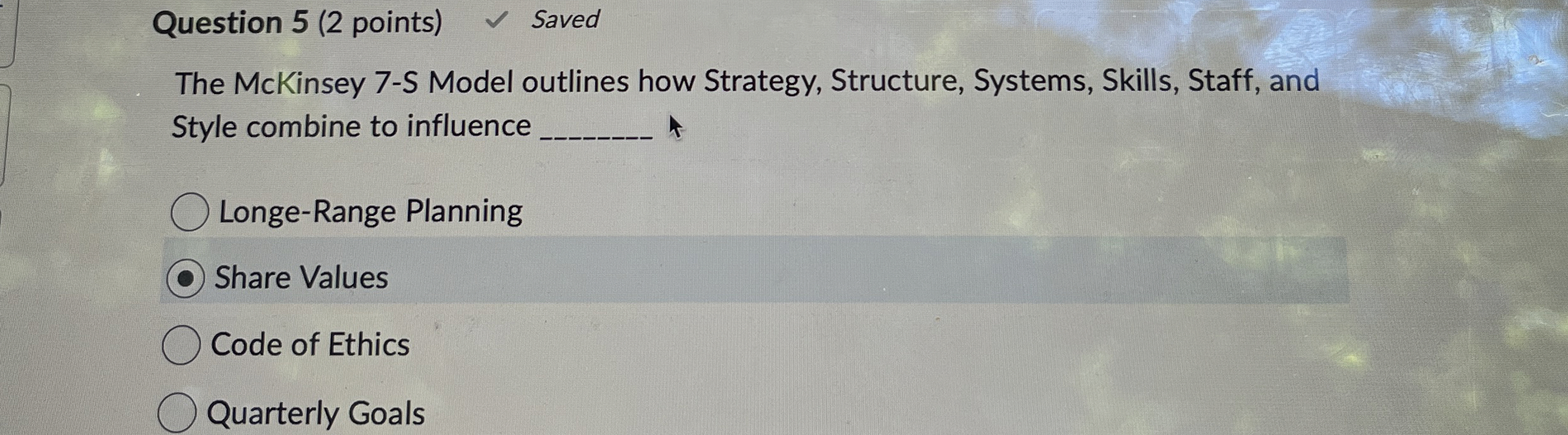  Question 5(2 points) The McKinsey 7-S Model outlines how Strategy, Structure,