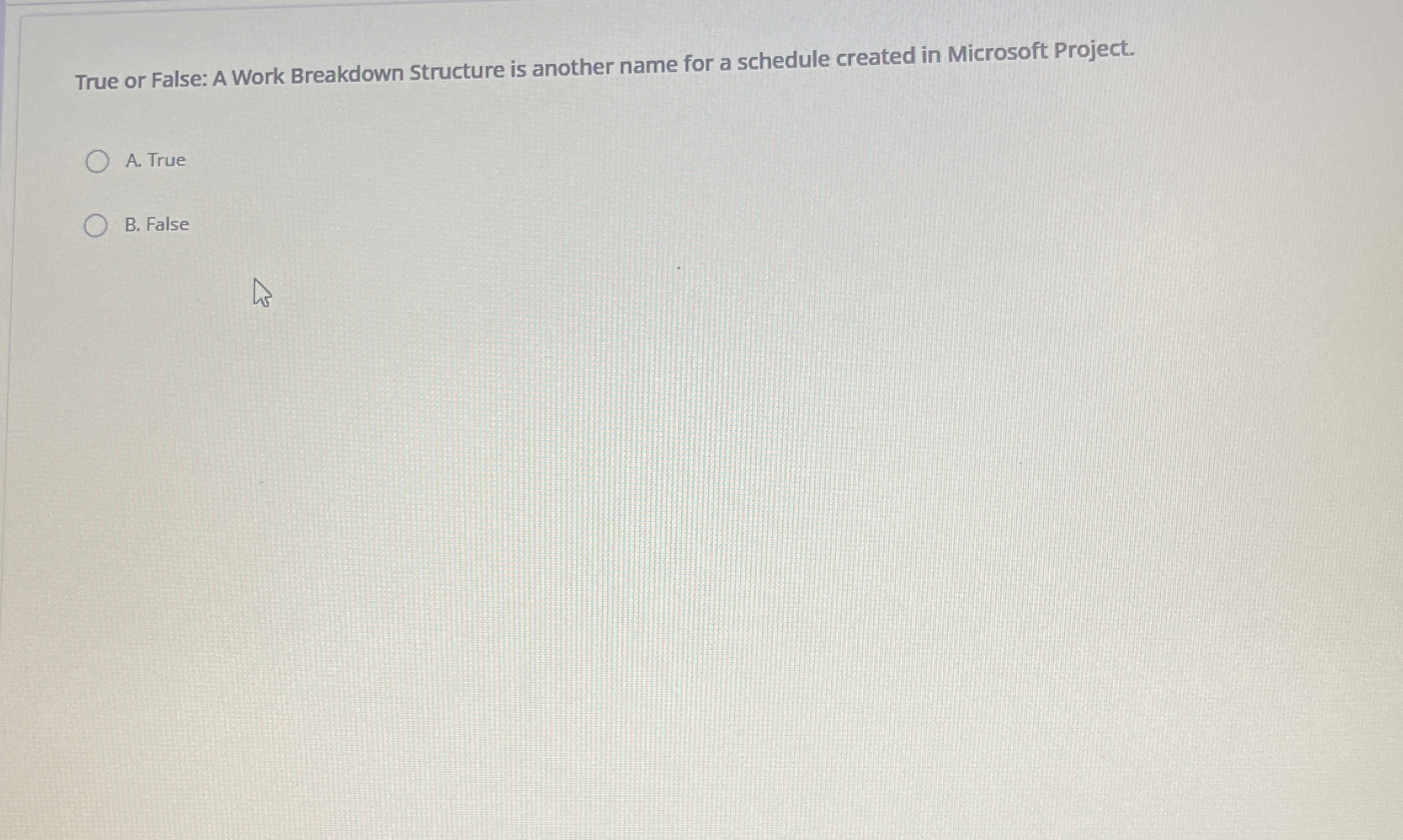  True or False: A Work Breakdown Structure is another name for