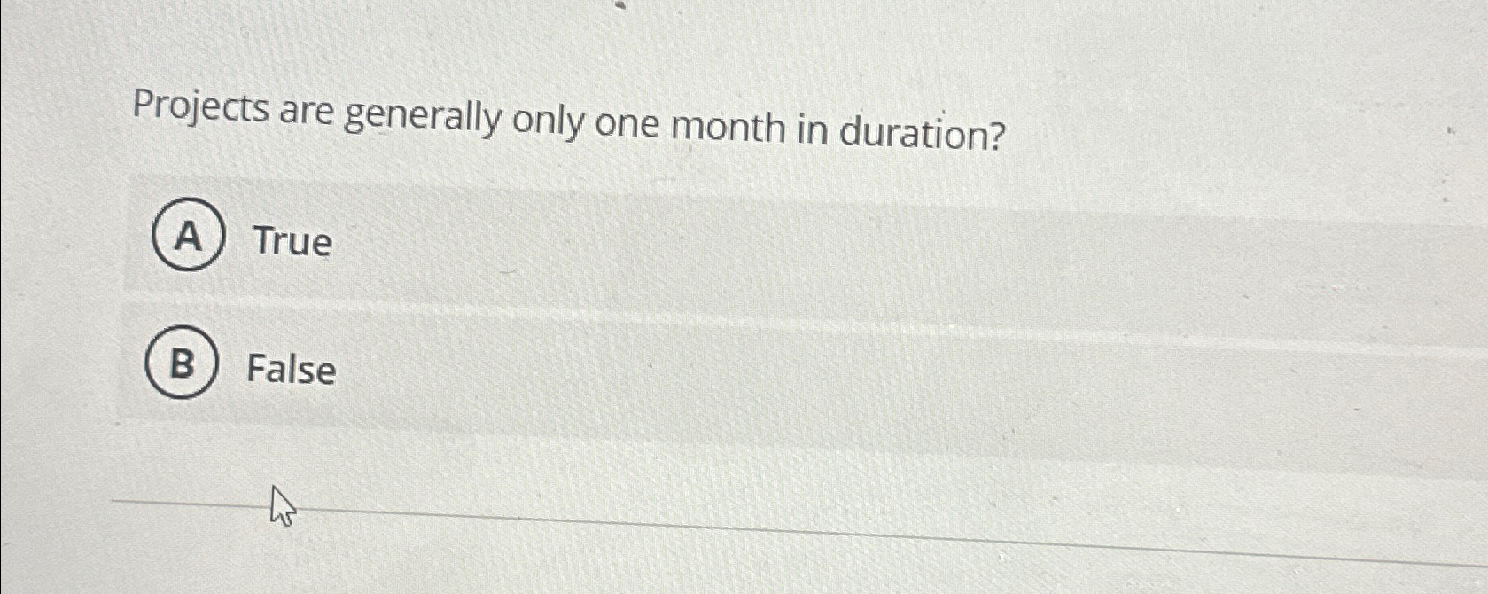  Projects are generally only one month in duration? True False 