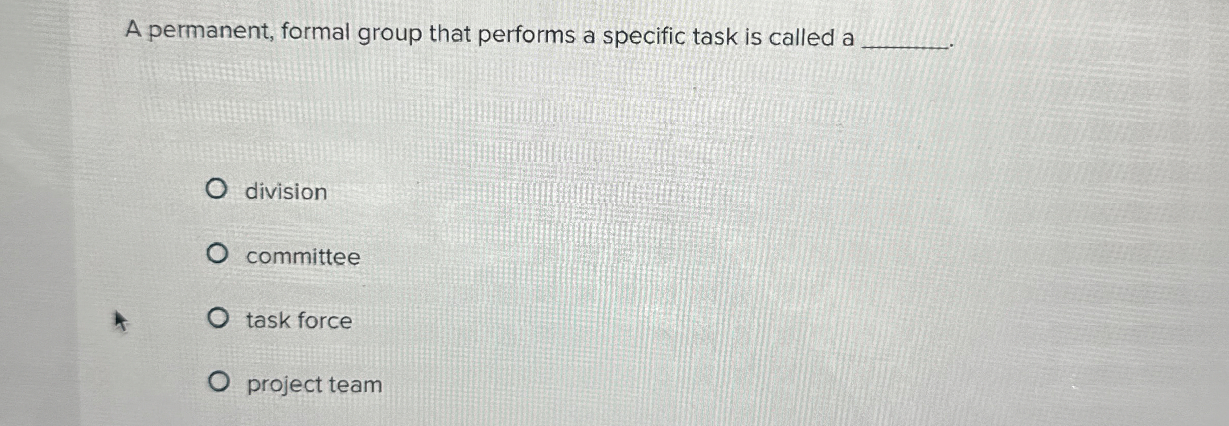  A permanent, formal group that performs a specific task is called