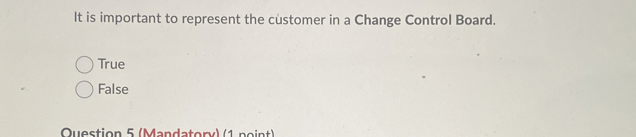  It is important to represent the customer in a Change Control