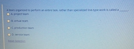  A team organized to perform an entire task, rather than specialized