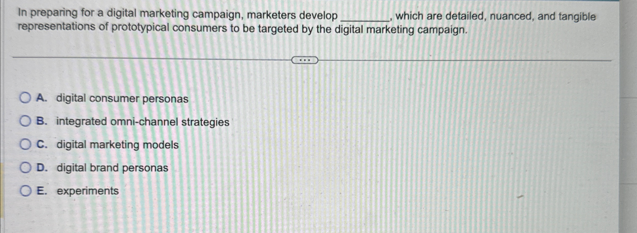  In preparing for a digital marketing campaign, marketers develop which are