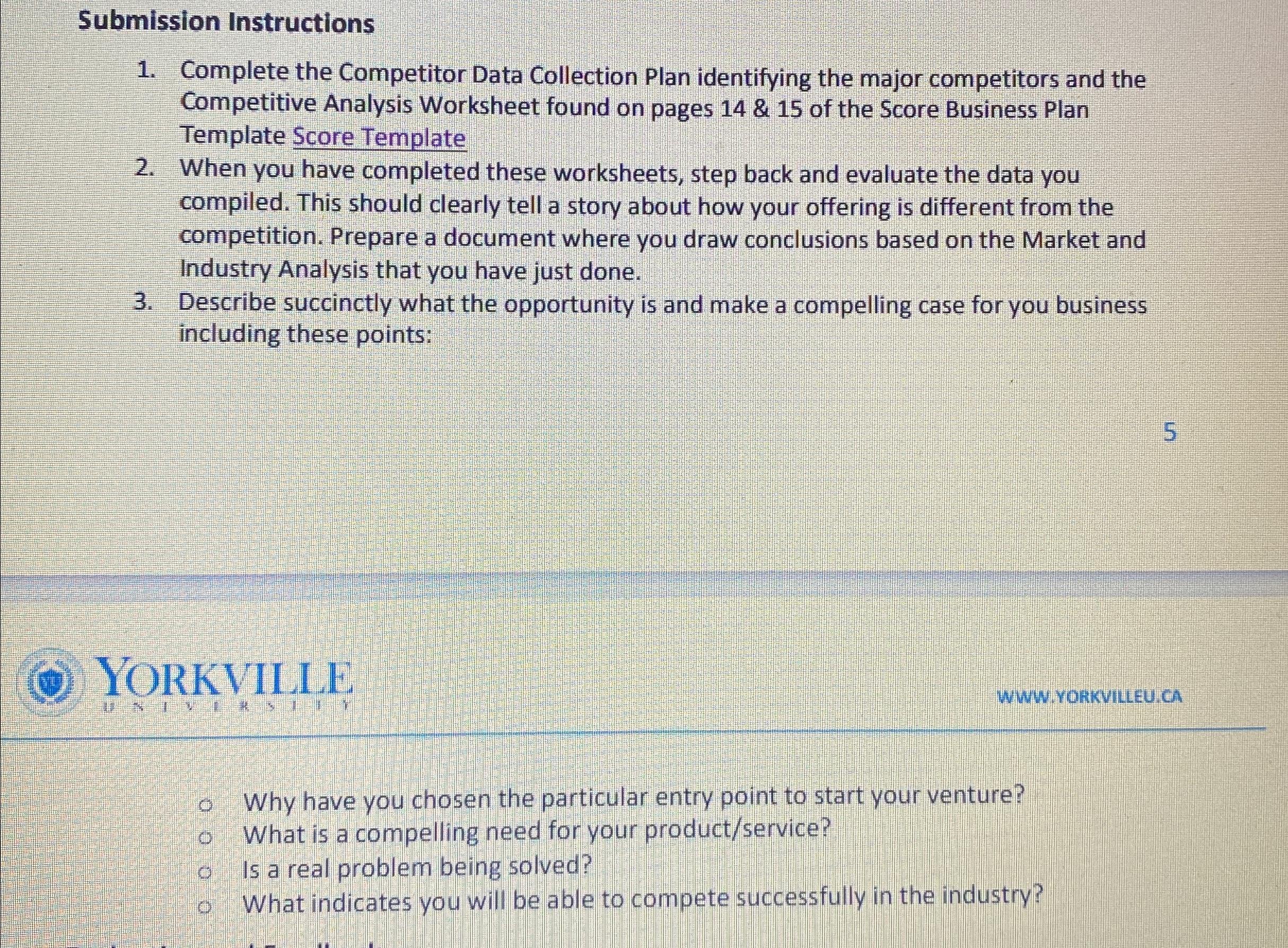  Submission Instructions Complete the Competitor Data Collection Plan identifying the major