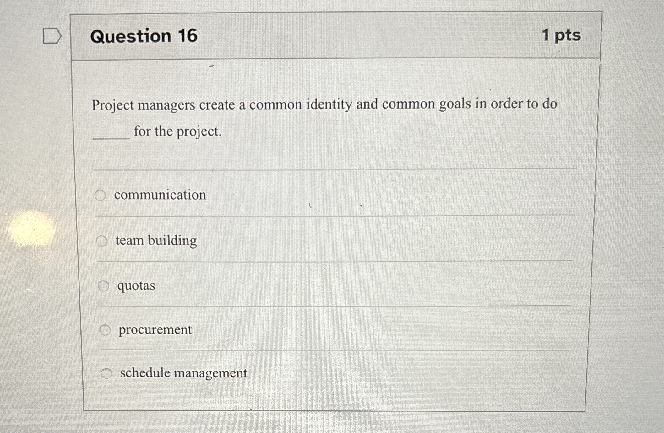  Question 16 Project managers create a common identity and common goals