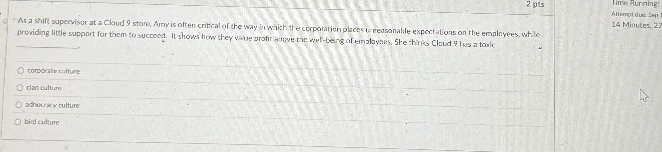 2 pts "As a shift supervisor at a Cloud 9 store,