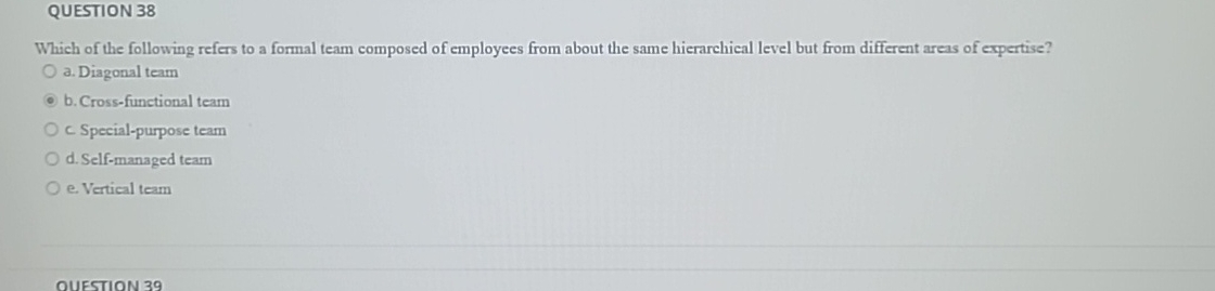  QUESTION 38 Which of the following refers to a formal team