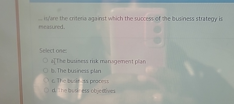  ... is/are the criteria against which the success of the business