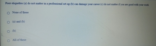  Poor etiquettes (a) do not matter in a professional set-up (b)