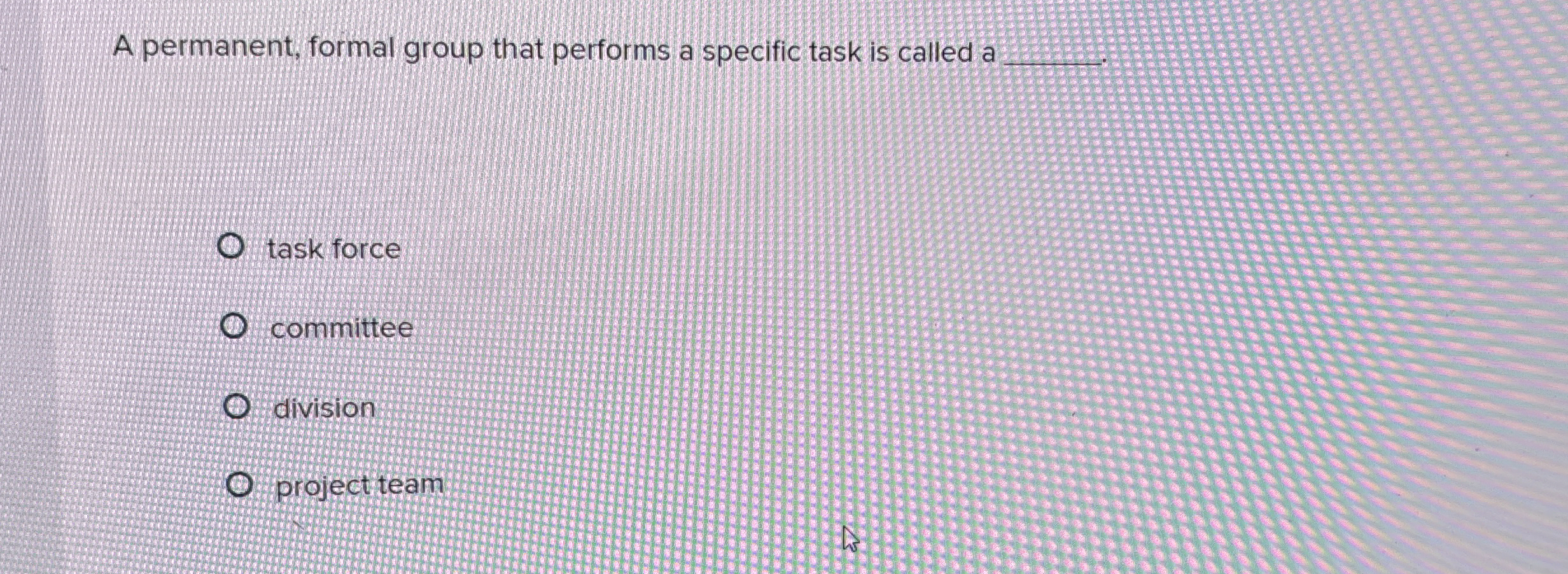  A permanent, formal group that performs a specific task is called