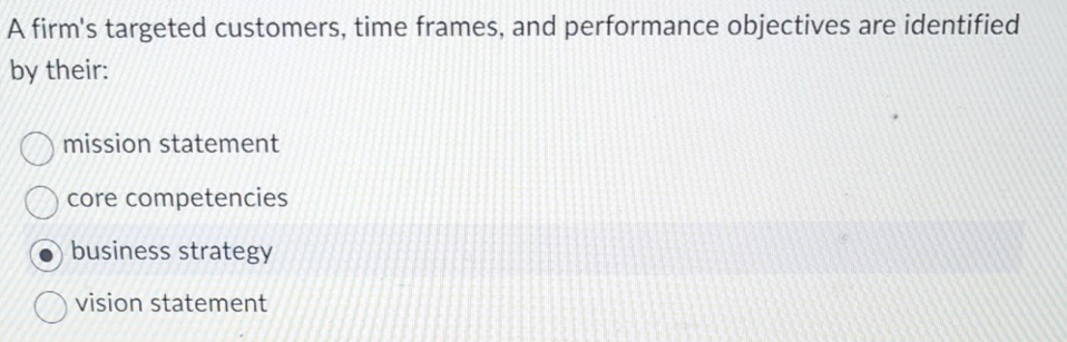  A firm's targeted customers, time frames, and performance objectives are identified
